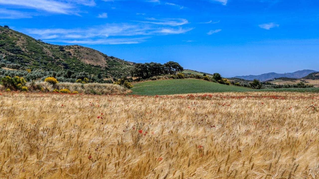 Almendros Antequera - Los Nogales By Ruralidays Villa Bagian luar foto